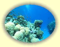 IMG_2007_05_27 18_34_17 * 2252 x 1690 * (552KB)